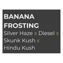 Sensi Seed, Banana Frosting, 3 Seeds, Feminized-SEED313-Sensi Seeds_2.jpg