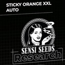 Sensi Seed, Sticky Orange XXL, 3 Seeds, Fem.autom.-SEED45AU-Sensi Seeds_3.jpg