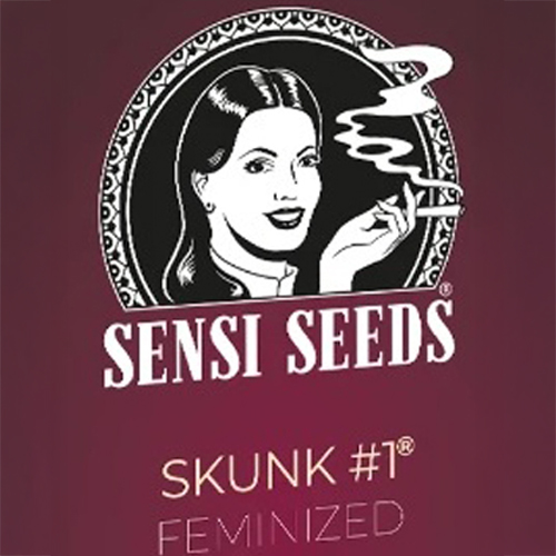Sensi Seed, Skunk No1®, 3 Seeds, Feminized-SEED305-Sensi Seeds_3.jpg