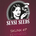 Sensi Seed, Skunk No1®, 3 Seeds, Feminized-SEED305-Sensi Seeds_3.jpg