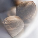 Sensi Seed, Early Skunk Autom®, 3 Seeds, Fem.auto-SEED07AU-Sensi Seeds_2.jpg