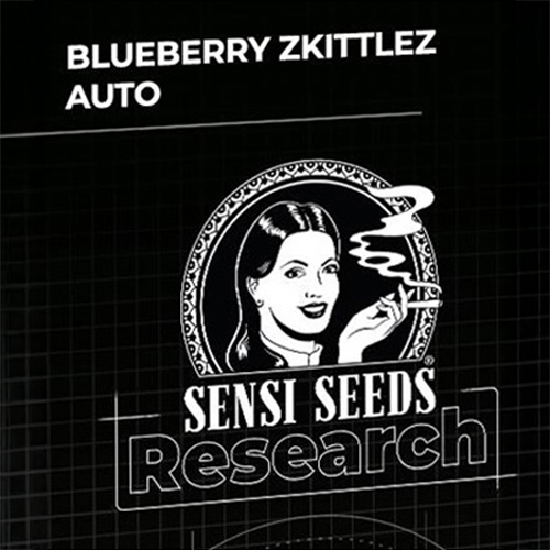 Sensi Seed, Blueberry Candiez, 3 Seeds, Fem.autom.-SEED44AU-Sensi Seeds_3.jpg