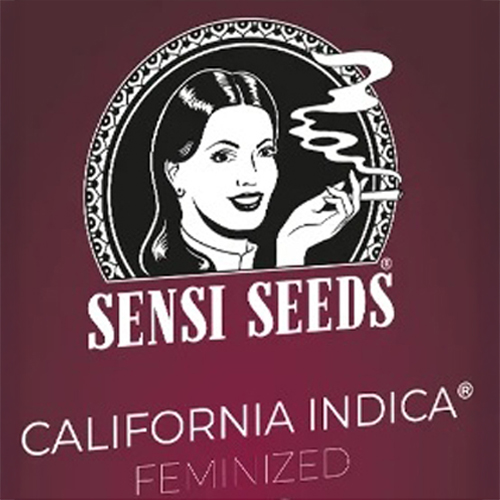 Sensi Seed, California Indica®, 3 Seeds, Feminized-SEED321-Sensi Seeds_2.jpg