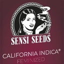 Sensi Seed, California Indica®, 3 Seeds, Feminized-SEED321-Sensi Seeds_2.jpg
