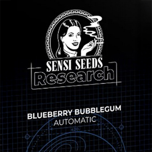 Sensi Seed, Blueberry Bubblegum, 3 Seeds, Fem.auto-SEED46AU-Sensi Seeds_2.jpg