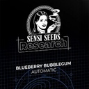 Sensi Seed, Blueberry Bubblegum, 3 Seeds, Fem.auto-SEED46AU-Sensi Seeds_2.jpg