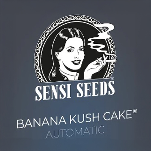 Sensi Seed, Banana Kush Cake, 3 Seeds, Fem.autofl.-SEED12AU-Sensi Seeds_2.jpg