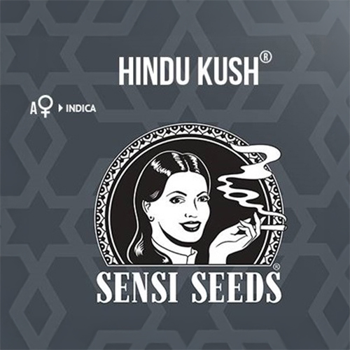 Sensi Seed, Hindu Kush Automa®, 3 Seeds, Fem.auto-SEED09AU-Sensi Seeds_3.jpg