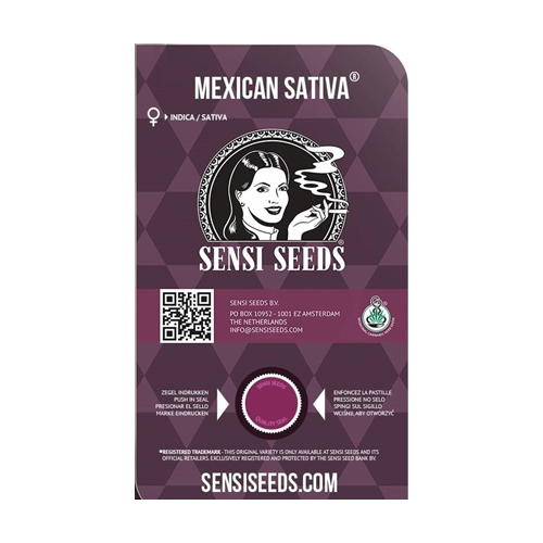 Sensi Seed, Mexican Sativa®, 3 Seeds, Feminized-SEEDMEX-Sensi Seeds_2.jpg
