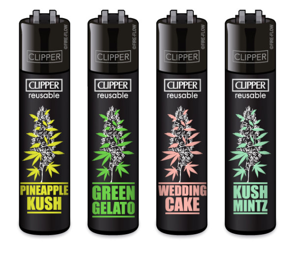 Clipper Classic PLANTZ #6, VE48