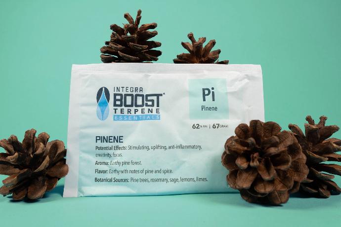 [TER62-67-PI] Integra Boost TERPENE PINENE 67g - 62%